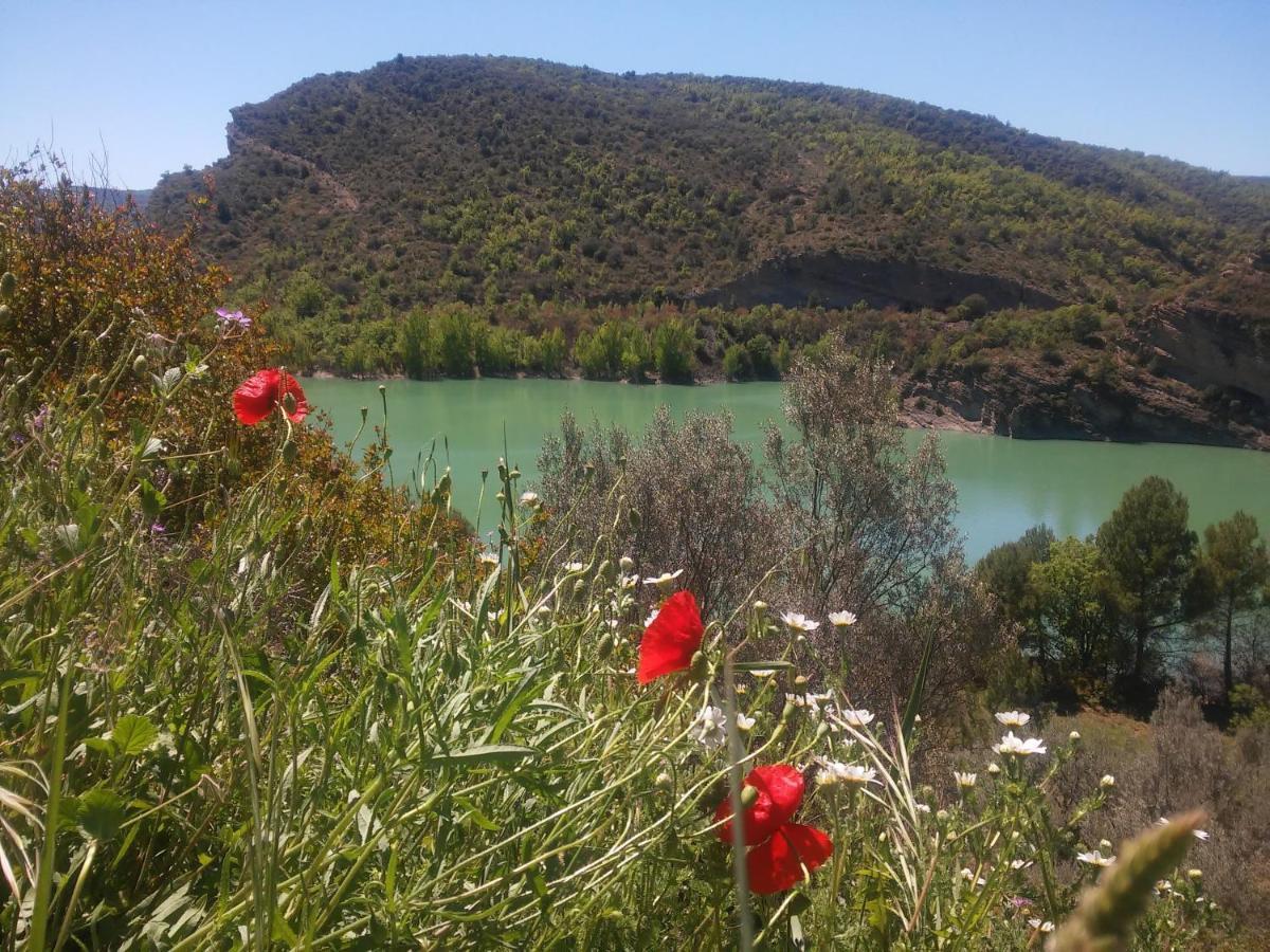 La Baronia de Sant OismeCasa Junia别墅 外观 照片